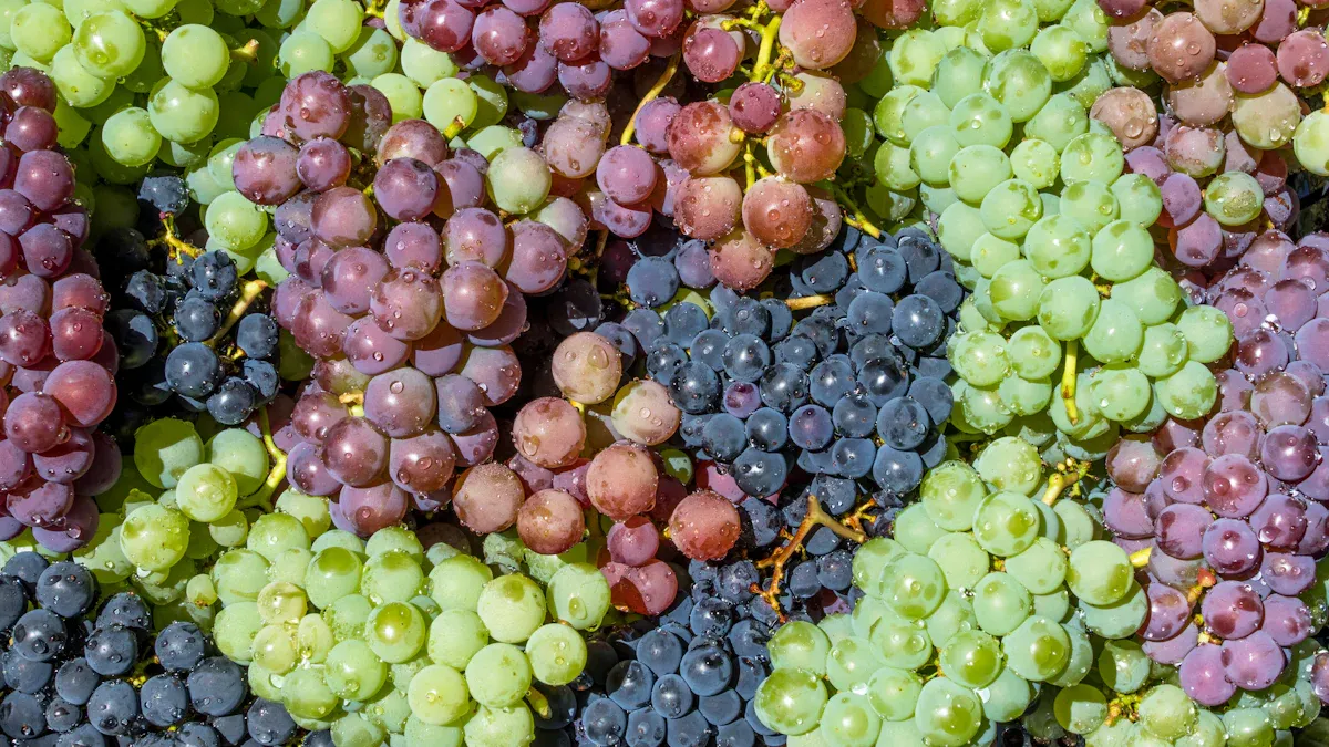 Grapes Nutrition: Key Facts