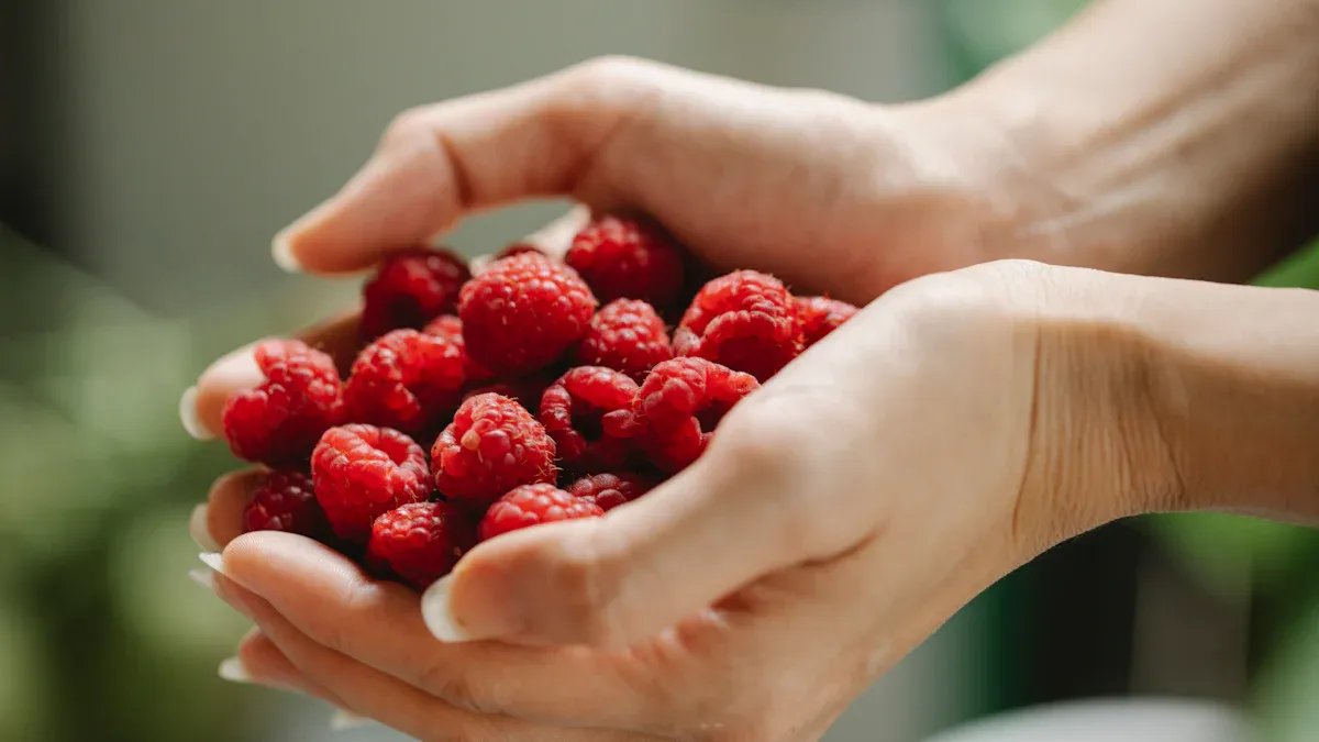 Red Raspberries Nutrition: A Powerhouse of Nutrients