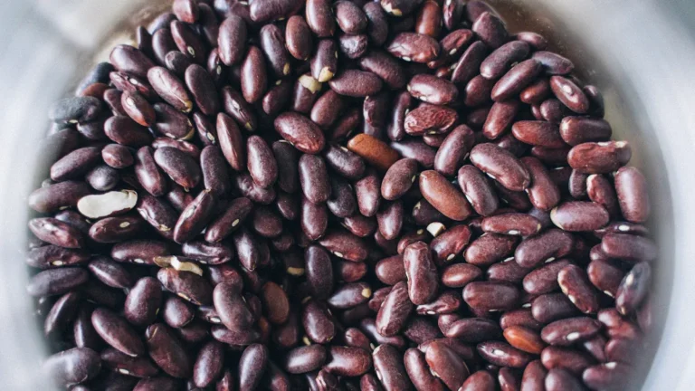 Adzuki Beans Nutrition Benefits: Protein, Fiber, and Red Bean Facts