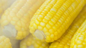 Corn Nutrition: Sweet Facts, Essential Benefits, & Key Uses