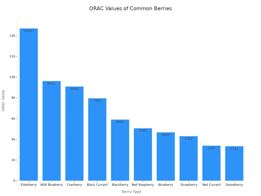 A bar chart showing the ORAC values for different berry types, ordered from highest to lowest. Elderberry has the highest ORAC value.