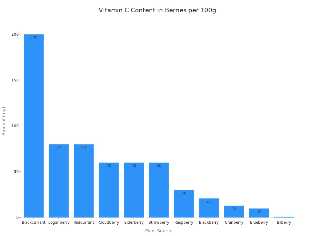 A bar chart showing the Vitamin C content in milligrams per 100 grams for various berry types, ordered from highest to lowest.