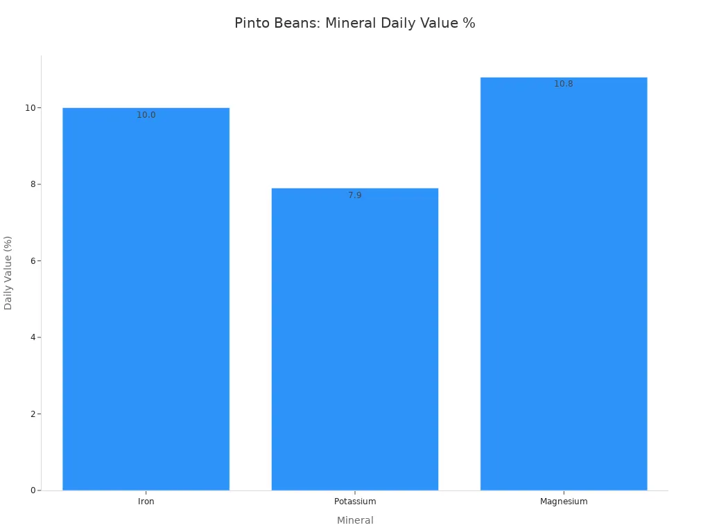 A bar chart showing the daily value percentages of Iron, Potassium, and Magnesium provided by pinto beans.
