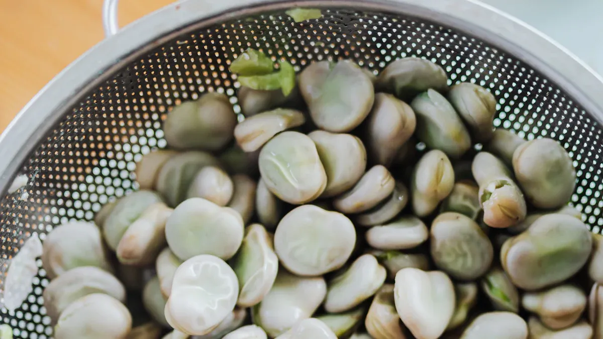 Lima Beans Nutrition: Key Facts, Amazing Benefits, & Uses