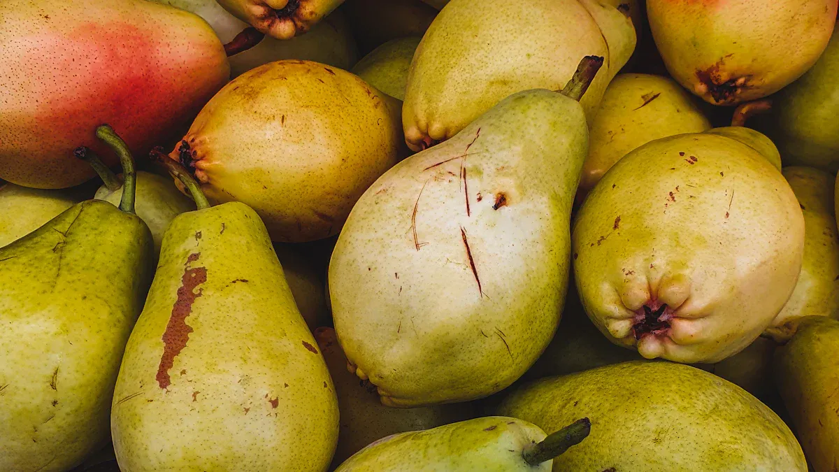 Pear Varieties and Uses