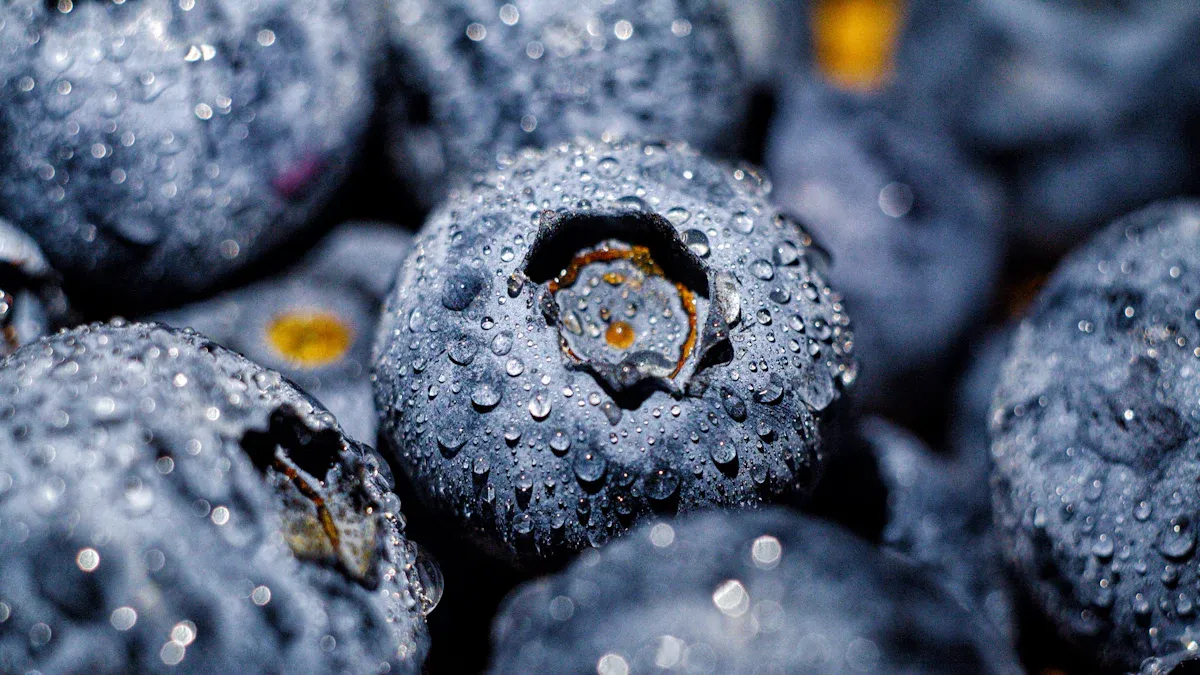 Blueberries Nutrition: Superfood Profile