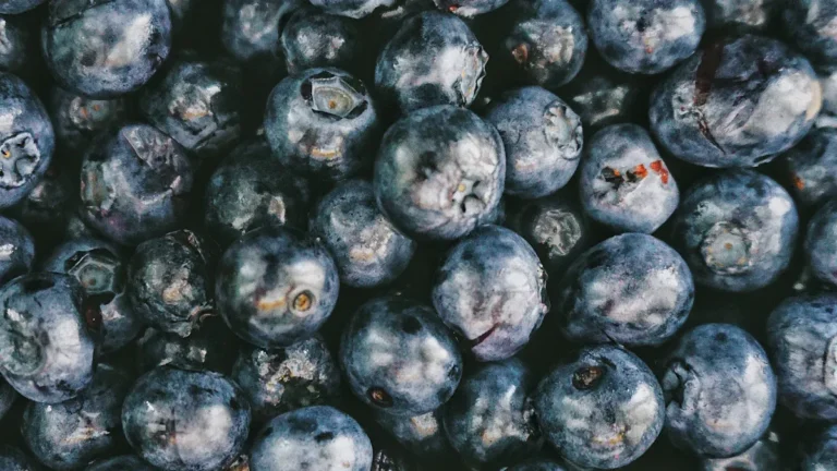 Blueberries Nutrition: Superfood Facts, Benefits, & Brain Uses