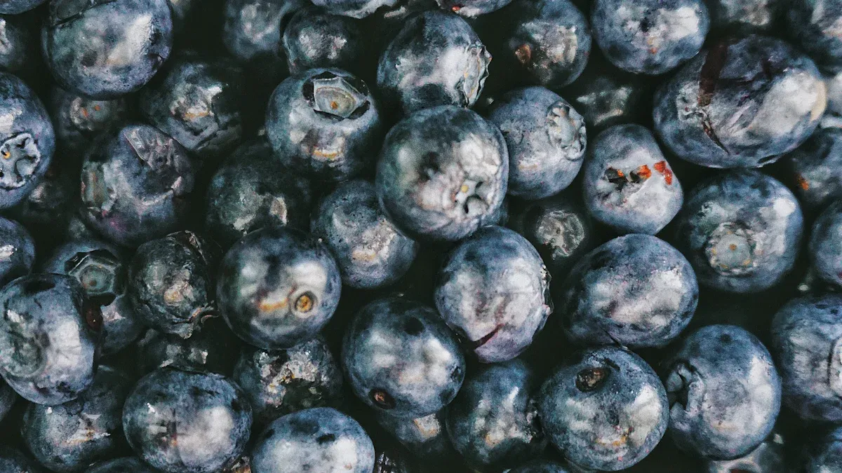 Blueberries Nutrition: Superfood Facts, Benefits, & Brain Uses