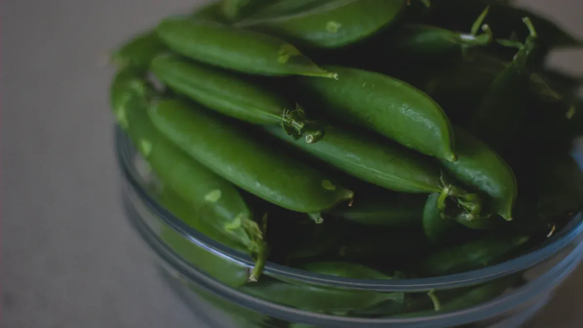 What is Edamame: An Overview