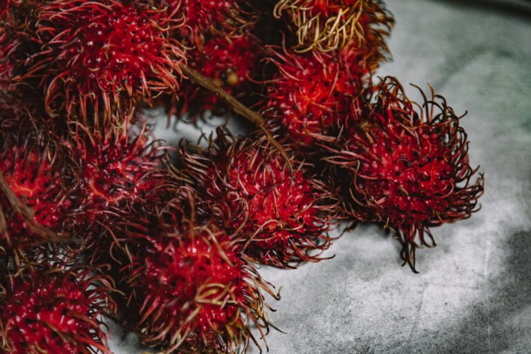 100 Fruit Names: 100 Common, Tropical, and Rare Picks