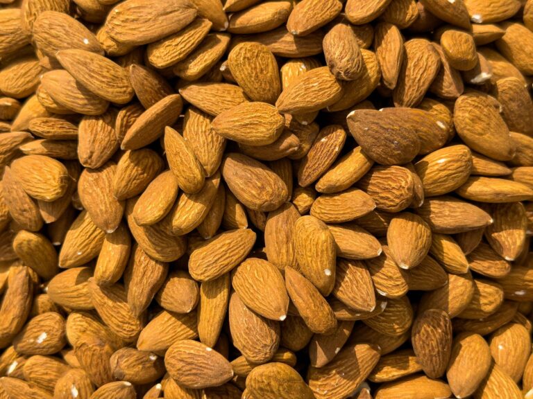 15 Calcium Rich Foods: Smart Sources for Stronger Bones