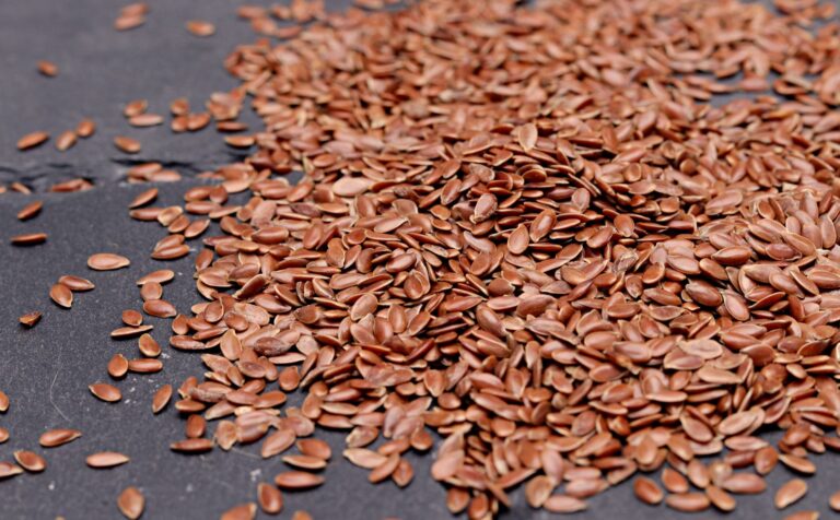 15 Delicious Vegan Recipes High in Omega 3: Seed-Packed Meals