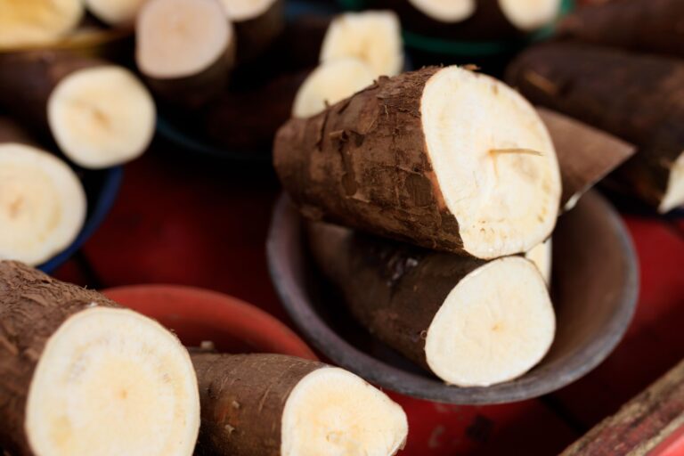 16 Health Benefits Cassava: Nutrition, Safety, and More