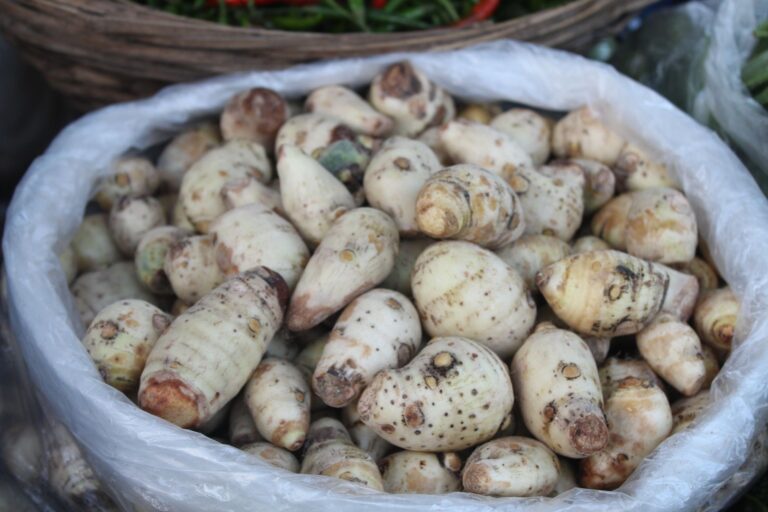 8 Benefits Taro Root: Nutrition, Safety, and Uses