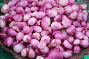9 Benefits of Shallots: Nutrition, Health, and Safety