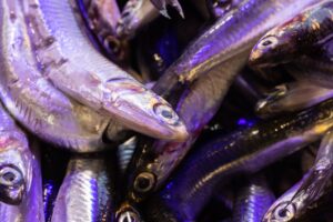 9 Health Benefits Haddock Fish: Nutrition, Heart Health