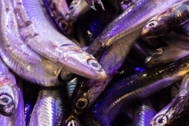 9 Health Benefits Haddock Fish: Nutrition, Heart Health