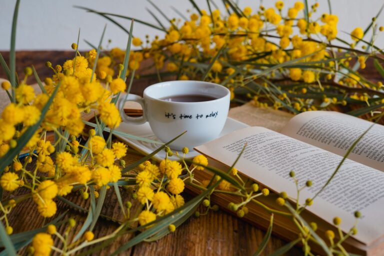 Acacia Tea: Benefits, Side Effects, Dosage, Recipe