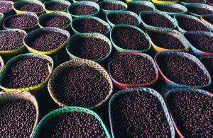Acai Berry Cleanse: Evidence, Safety, and Real Results