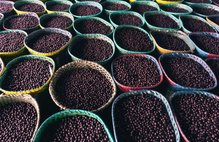 Acai Berry Cleanse: Evidence, Safety, and Real Results