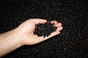 Adzuki Beans vs Black Beans: Nutrition, Taste, and Uses