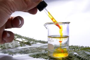 Amylase: The Digestion Enzyme Behind Your Lab Results
