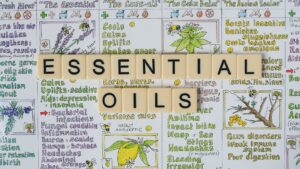 Anise Oil: Benefits, Side Effects, Uses