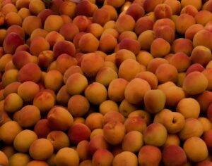 Apricots: Benefits, Nutrition, Side Effects, Uses