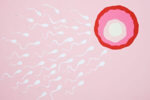 Are You Trying to Conceive: Key Signs of Ovulation Days