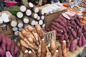 Arrowroot Flour: A Complete to Uses, Benefits