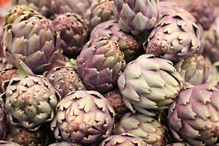 Artichokes: Benefits, Nutrition, Side Effects, Uses