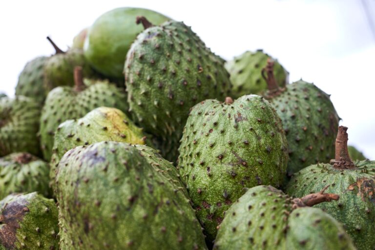 Asam Gelugur: Benefits, Nutrition, Side Effects