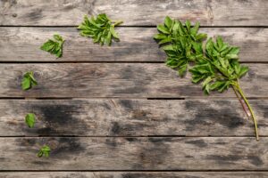 Ashitaba: Benefits, Uses, Evidence, and Safety