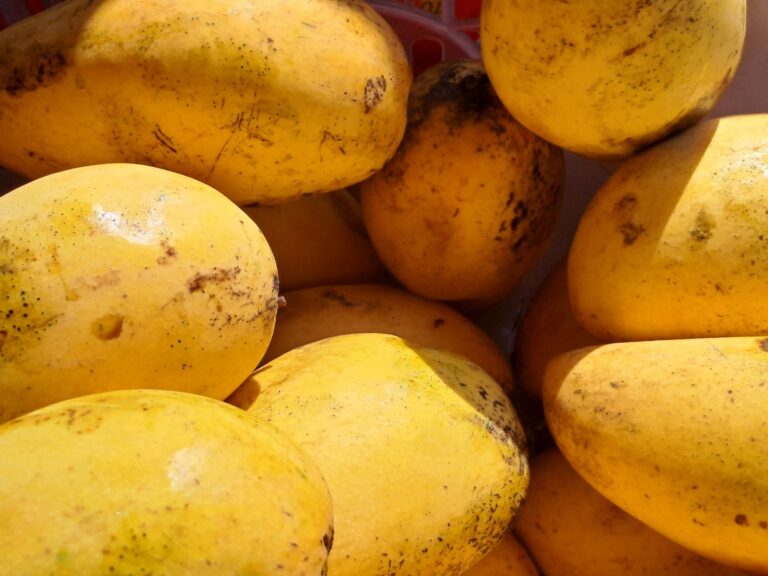 Ataulfo Mango: The Sweet, Creamy Variety Worth Knowing