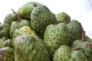 Atemoya: Benefits, Nutrition, Side Effects, Uses