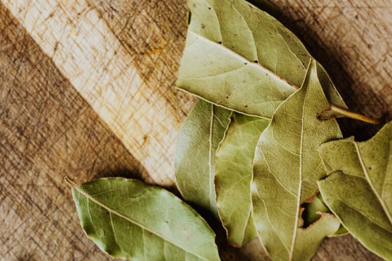 Bay Leaf Tea: Benefits, Side Effects, Uses, Recipe