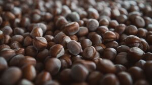 Beech Nuts: Nutrition, Benefits, Side Effects, Uses