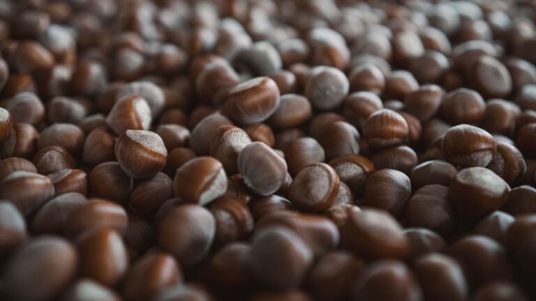 Beech Nuts: Nutrition, Benefits, Side Effects, Uses