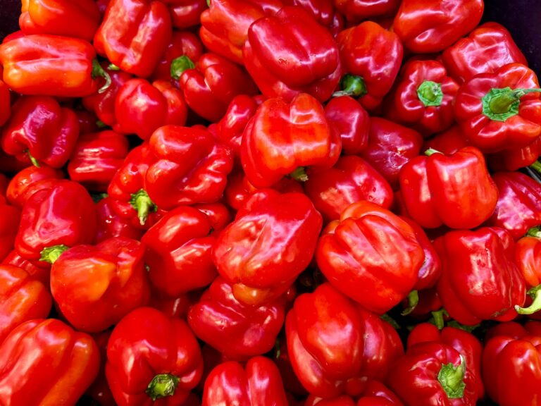 Bell Pepper: Benefits, Nutrition, Side Effects