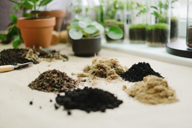 Best Soil for Indoor Plants No Bugs: A Pest-Free Potting