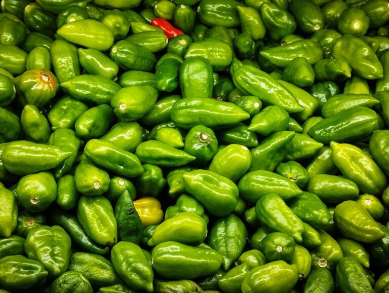 Birds Eye Chili Health: Benefits, Side Effects
