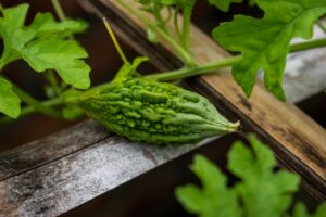 Bitter Melon Tea Health: Benefits, Side Effects