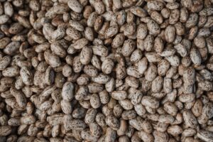 Black Beans vs Pinto Beans: Nutrition, Taste, and Cooking