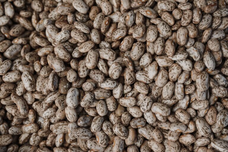 Black Beans vs Pinto Beans: Nutrition, Taste, and Cooking
