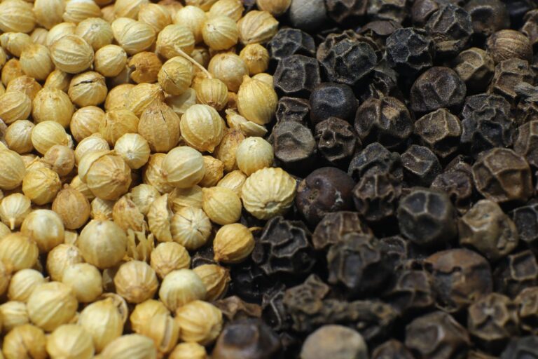 Black Pepper: Benefits, Side Effects, Uses, Dosage