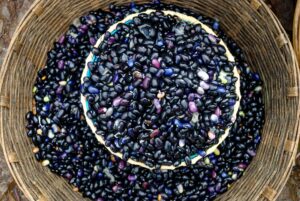 Black Turtle Beans: Nutrition, Benefits, Side Effects