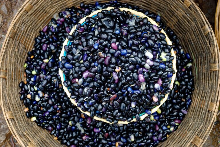 Black Turtle Beans: Nutrition, Benefits, Side Effects