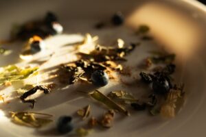 Blueberry Leaf Tea: Benefits, Side Effects, Recipe