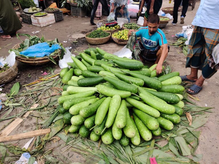 Bottle Gourd: Benefits, Nutrition, Side Effects
