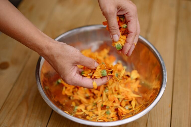 Calendula Tea: Benefits, Side Effects, Uses, Recipe